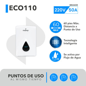 ECO110